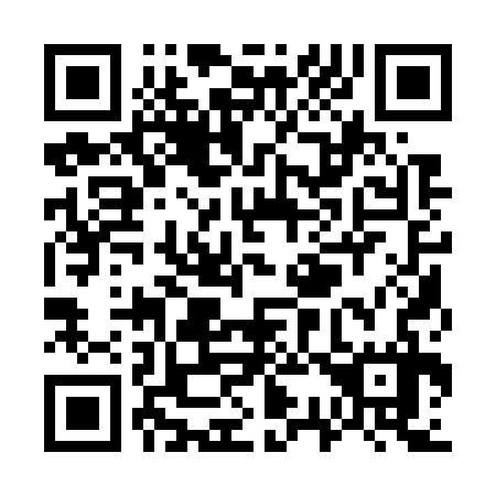 QR code for W31737