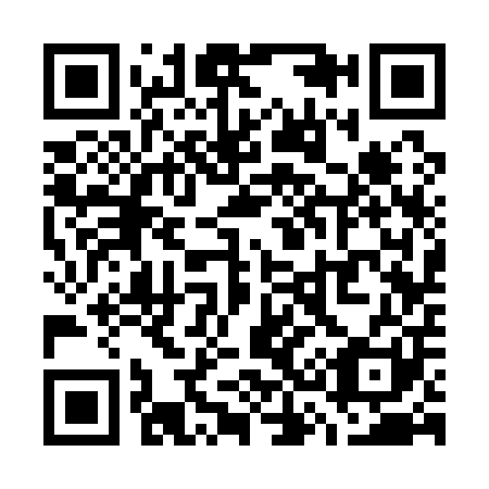 QR code for W33101
