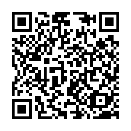 QR code for W36729