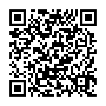 QR code for W38314