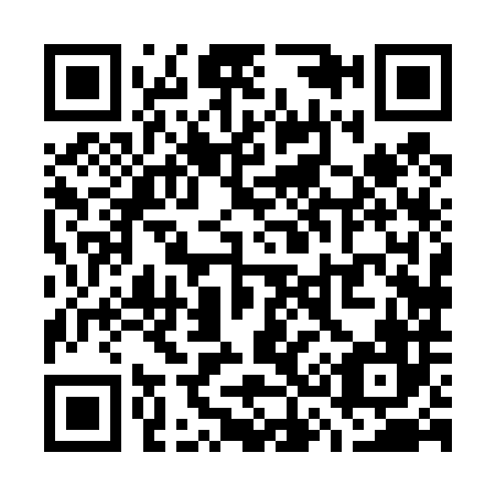 QR code for W38486