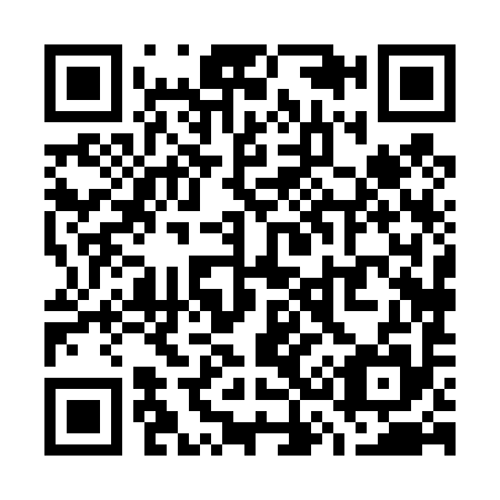 QR code for W38495