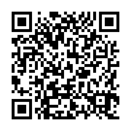 QR code for W38585