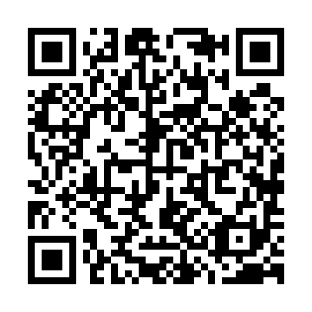 QR code for W38591
