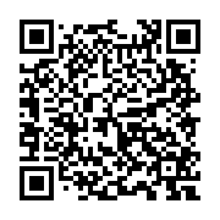 QR code for W38704