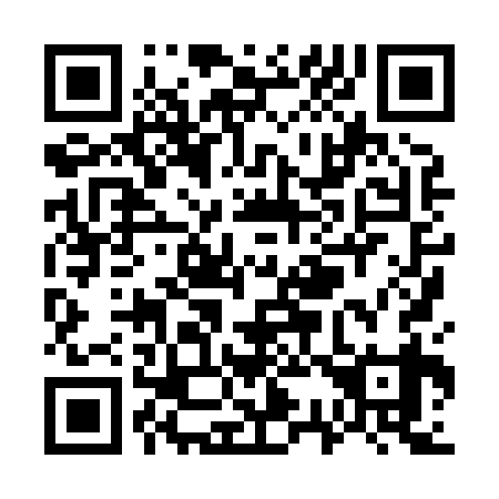 QR code for W38839