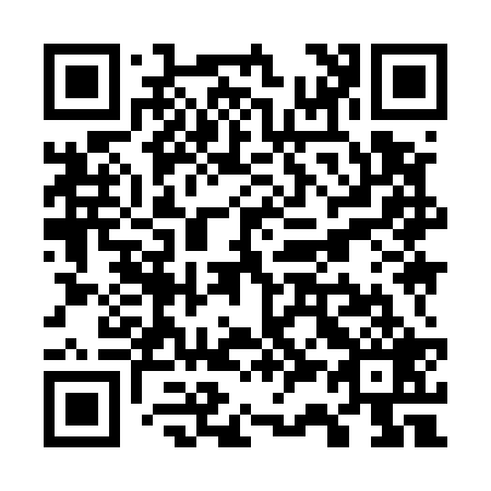 QR code for W39529