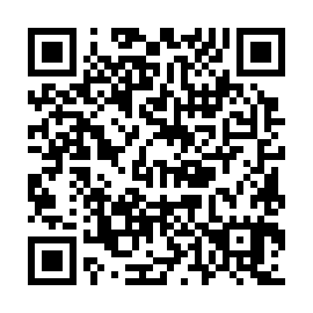 QR code for W45385