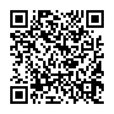 QR code for W45448