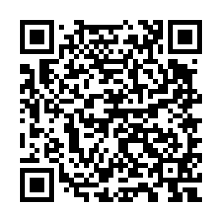 QR code for W45491