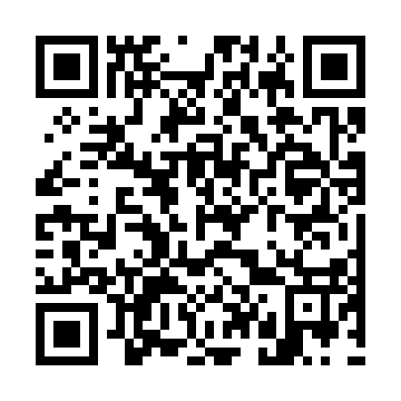 QR code for W46317