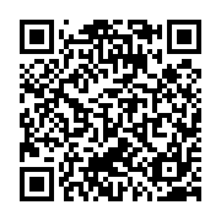 QR code for W46517