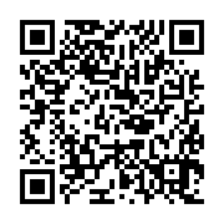 QR code for W46587
