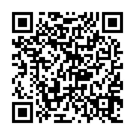 QR code for W46917