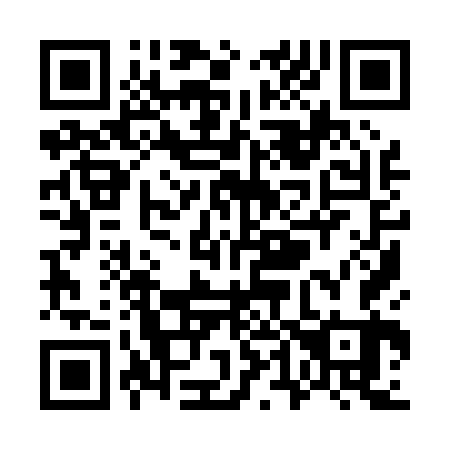 QR code for W49063