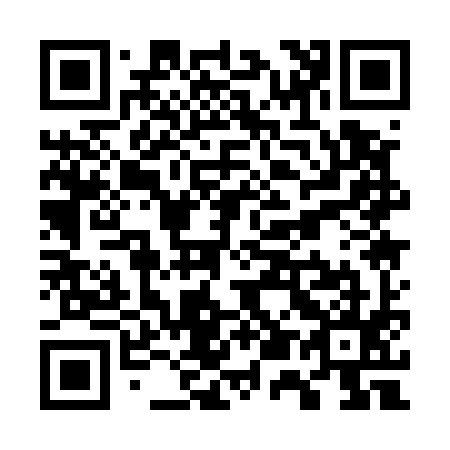 QR code for W51595