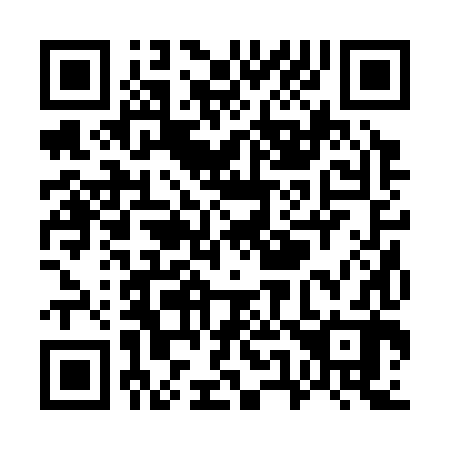 QR code for W52382