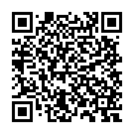 QR code for W52541