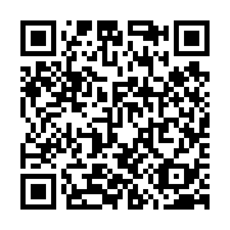 QR code for W53639