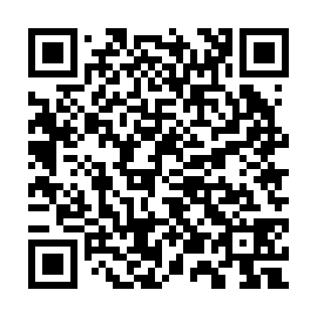 QR code for W55238