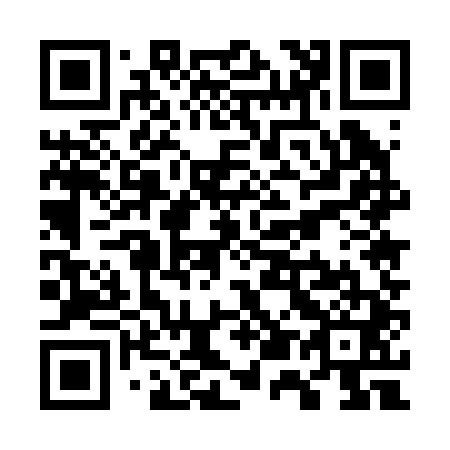 QR code for W55241