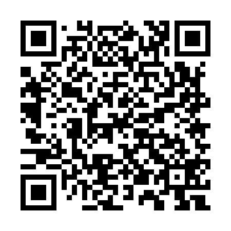 QR code for W55919