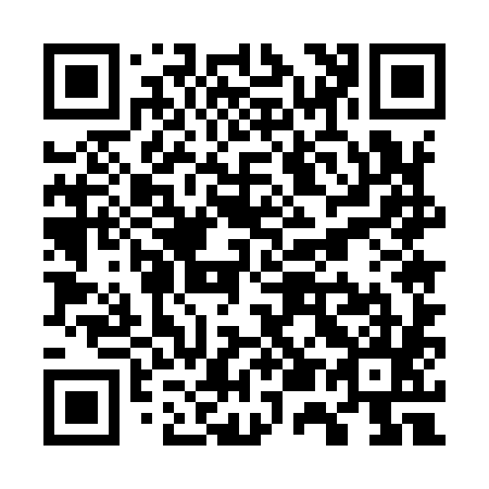 QR code for W55985