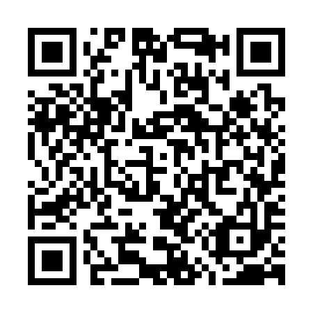 QR code for W57393