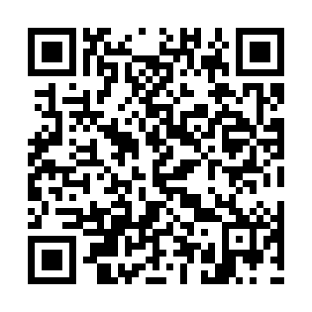 QR code for W58382
