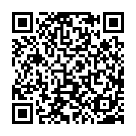 QR code for W60311