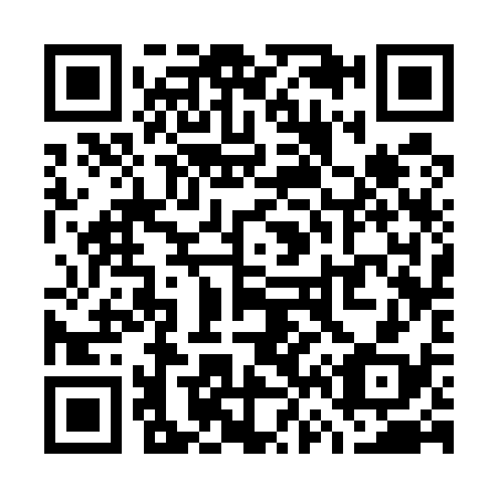 QR code for W63538