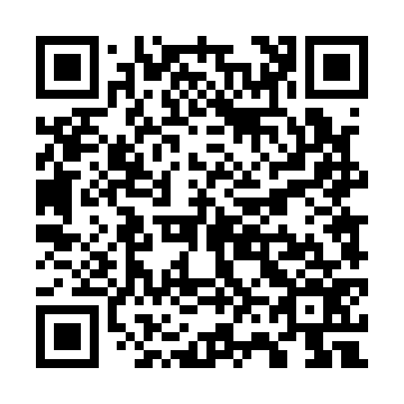 QR code for W64176