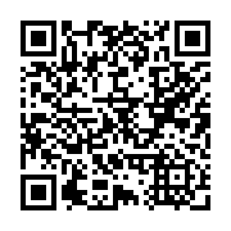 QR code for W70919