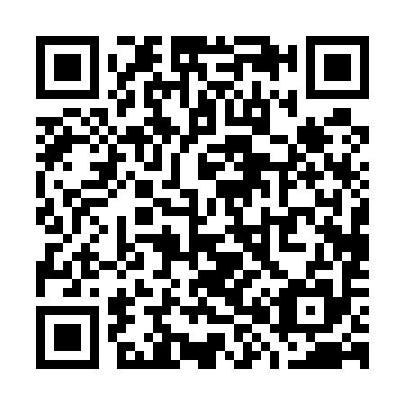 QR code for W80595