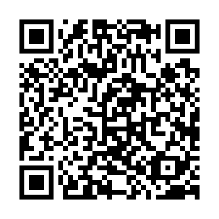 QR code for W80729
