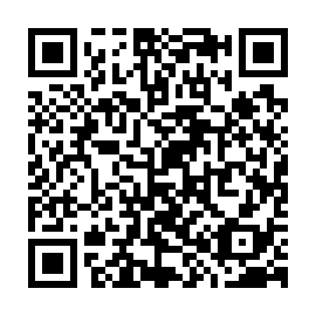 QR code for W81738