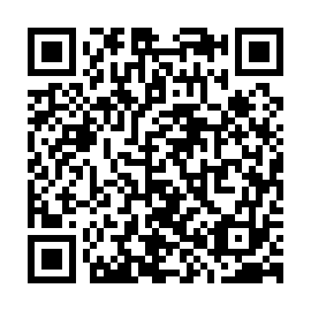 QR code for W85173