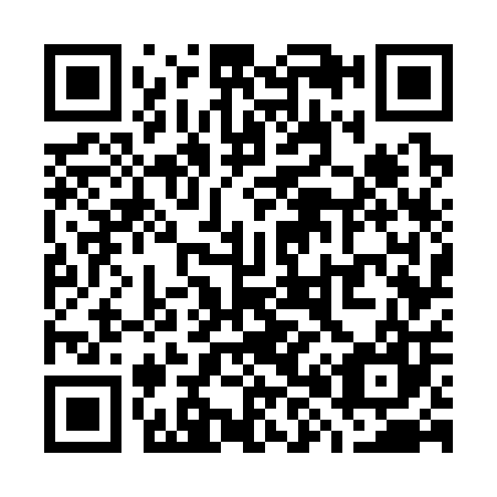 QR code for W87307