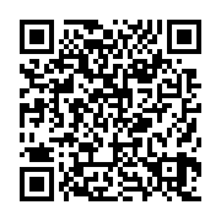 QR code for W90729