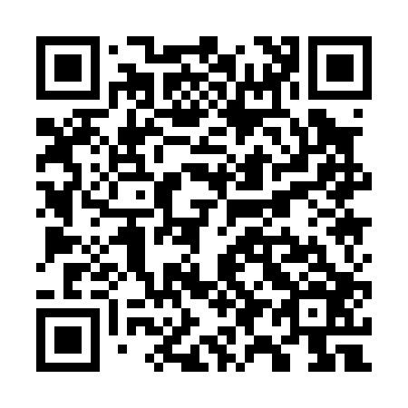 QR code for W91006