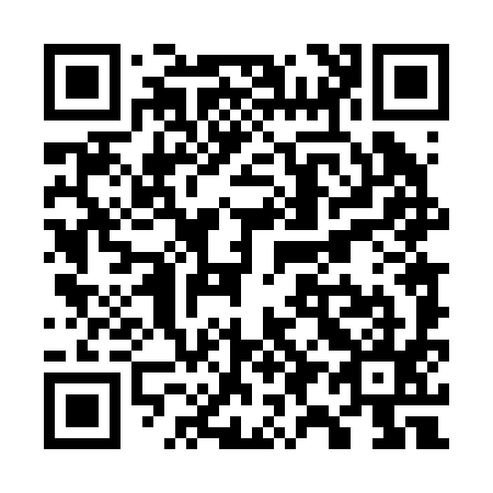 QR code for W94295