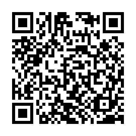 QR code for W95173