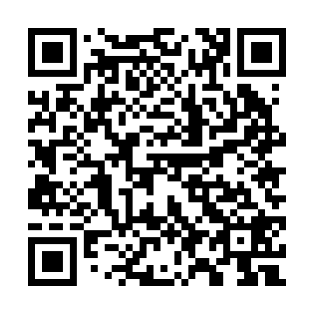 QR code for W95228