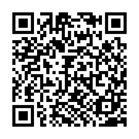 QR code for W95303