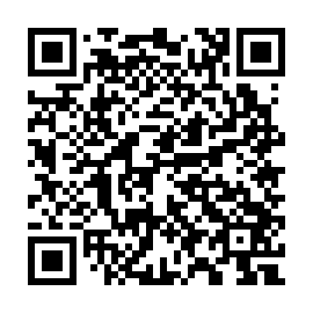 QR code for W95343