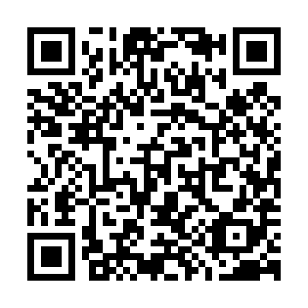 QR code for W95488