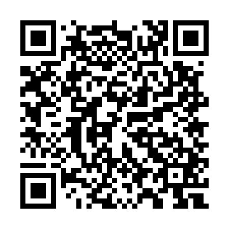 QR code for W95541