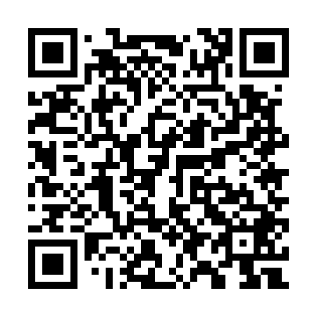 QR code for W95548