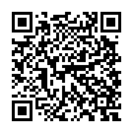 QR code for W96046