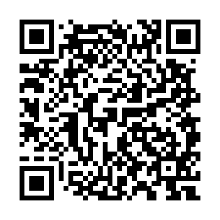 QR code for W96595